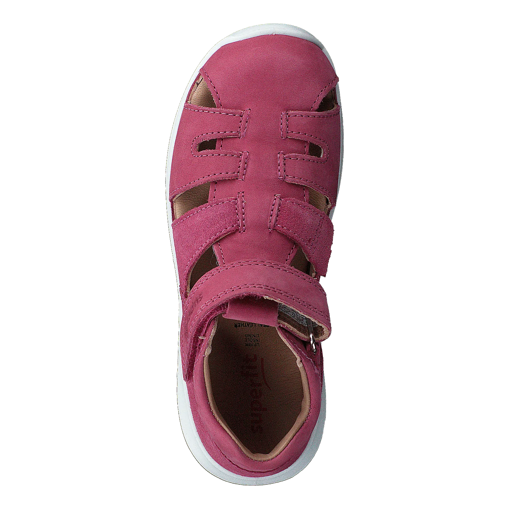 Bumblebee Pink