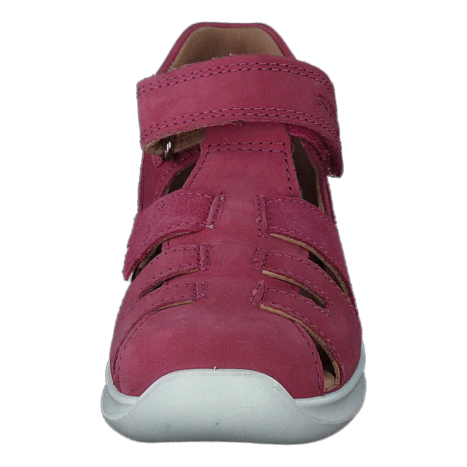 Bumblebee Pink
