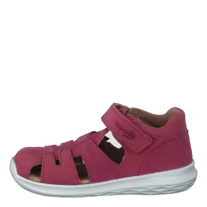 Bumblebee Pink