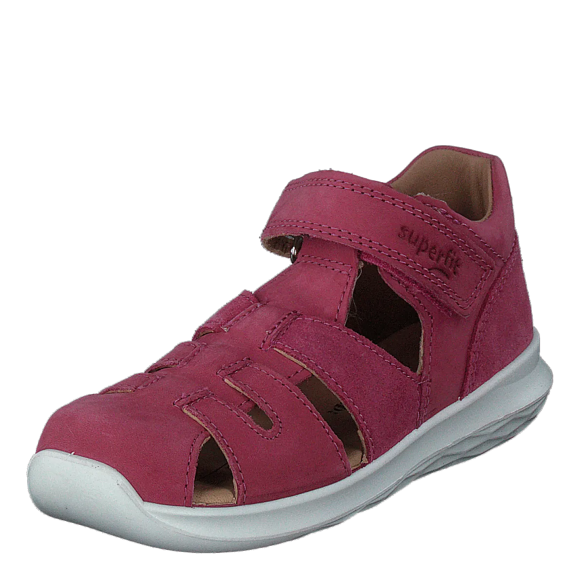 Bumblebee Pink