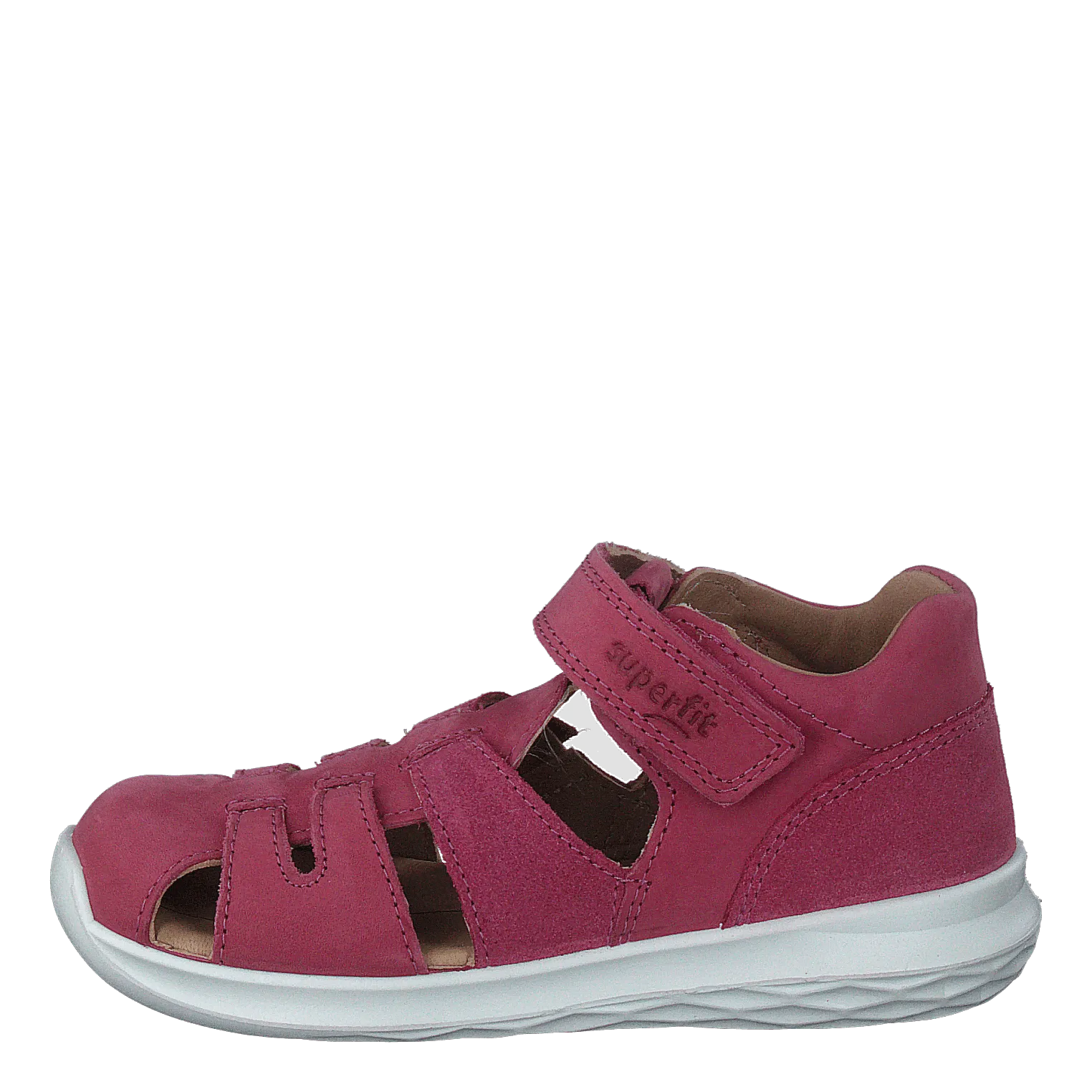 Bumblebee Pink