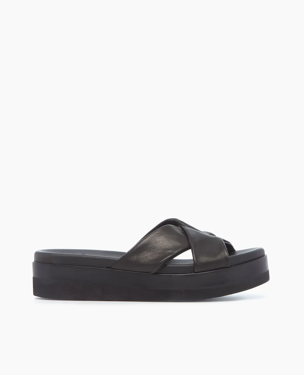 Dot Wedge