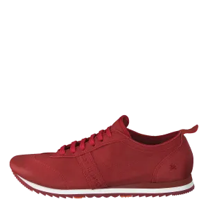 Kioto Coral