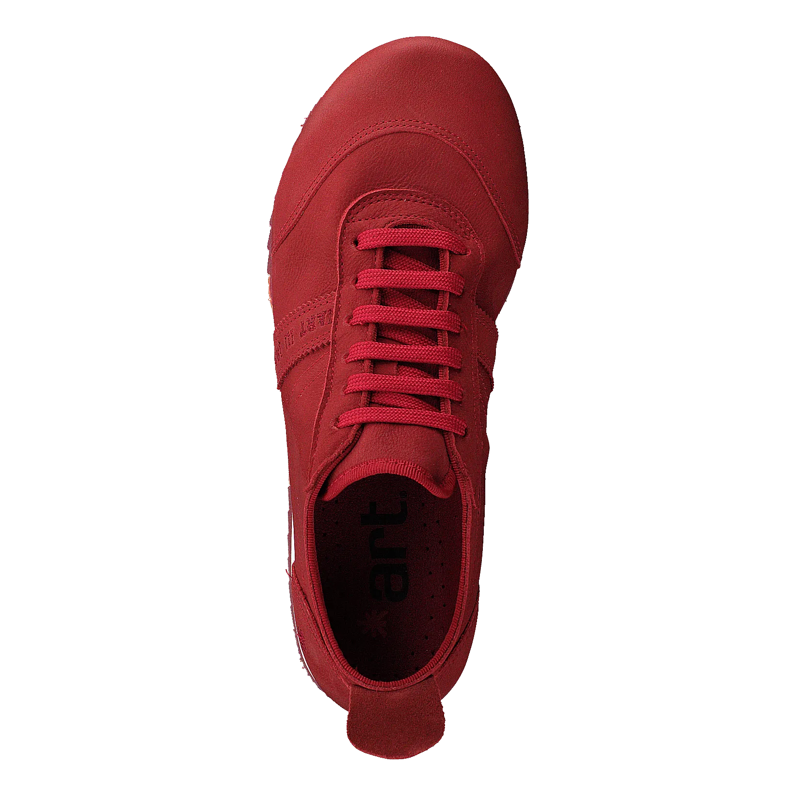 Kioto Coral