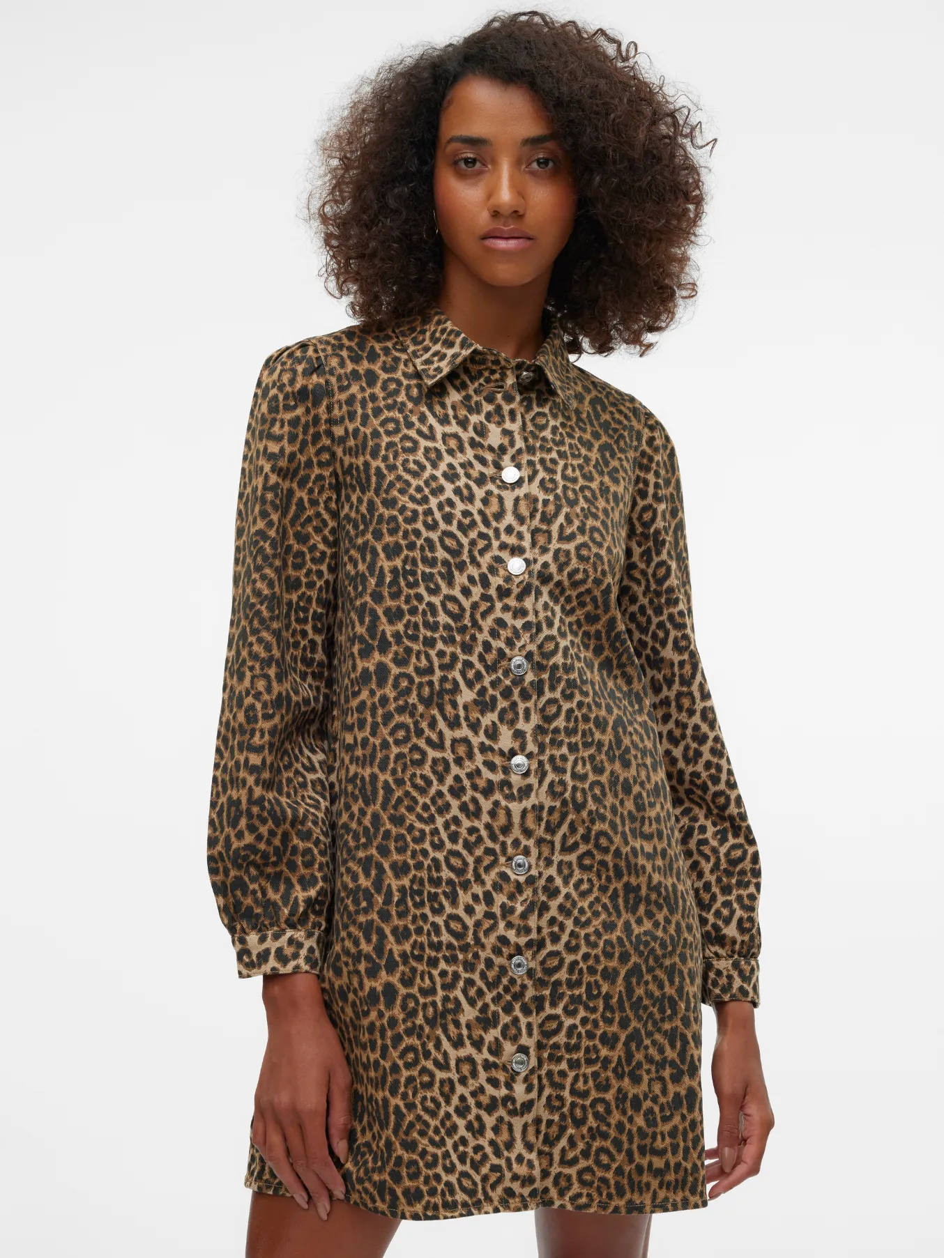 Lucie Leopard Print Denim Shirt Dress