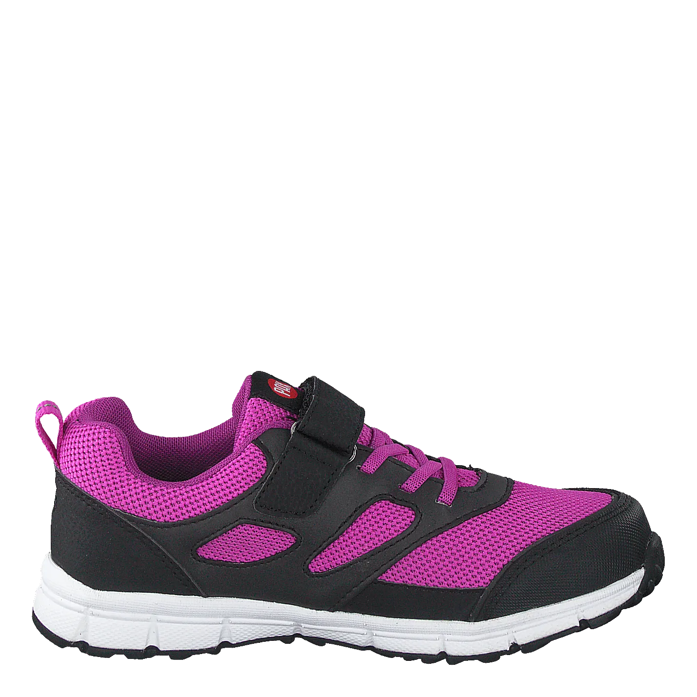 Rask Fuchsia
