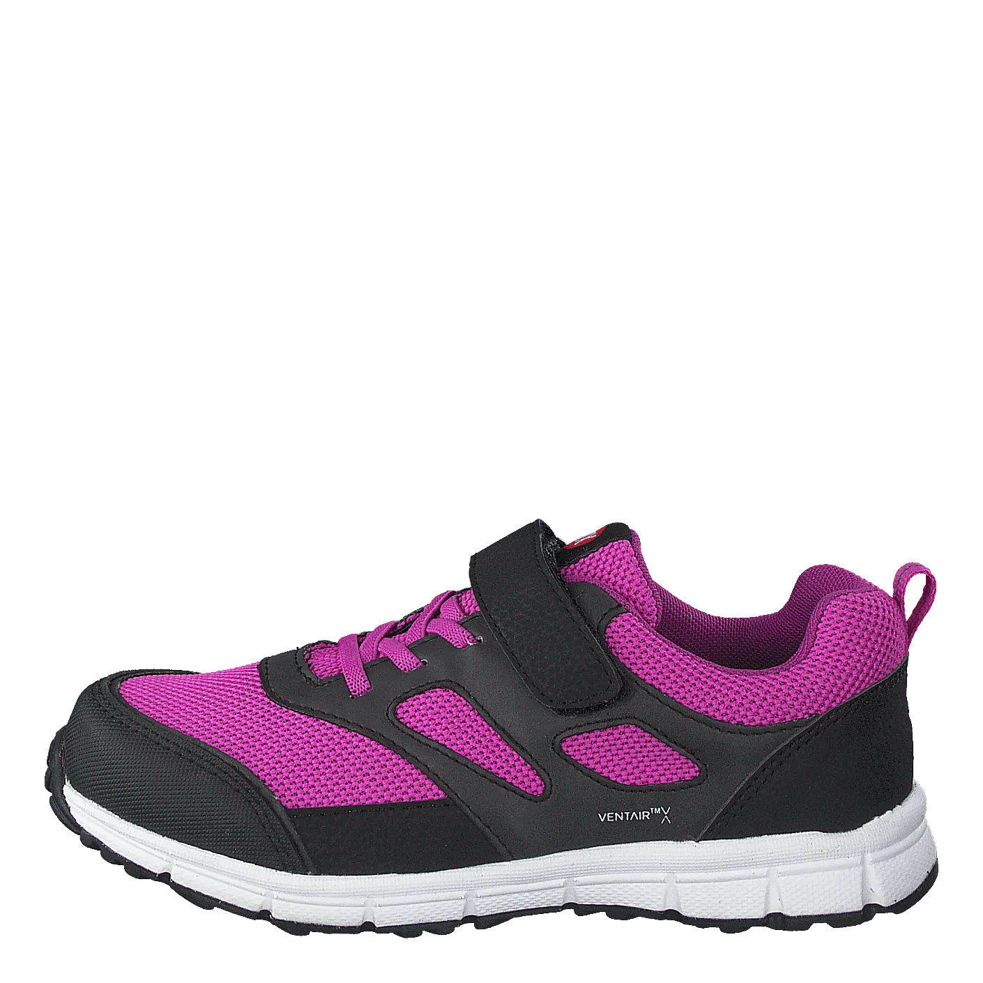 Rask Fuchsia