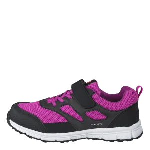 Rask Fuchsia