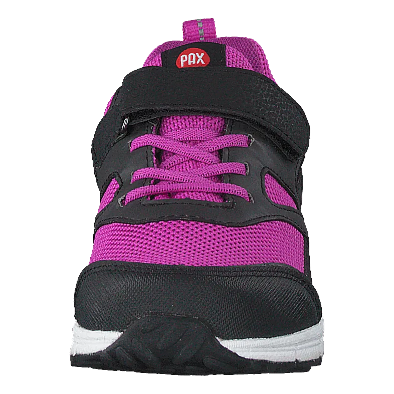 Rask Fuchsia