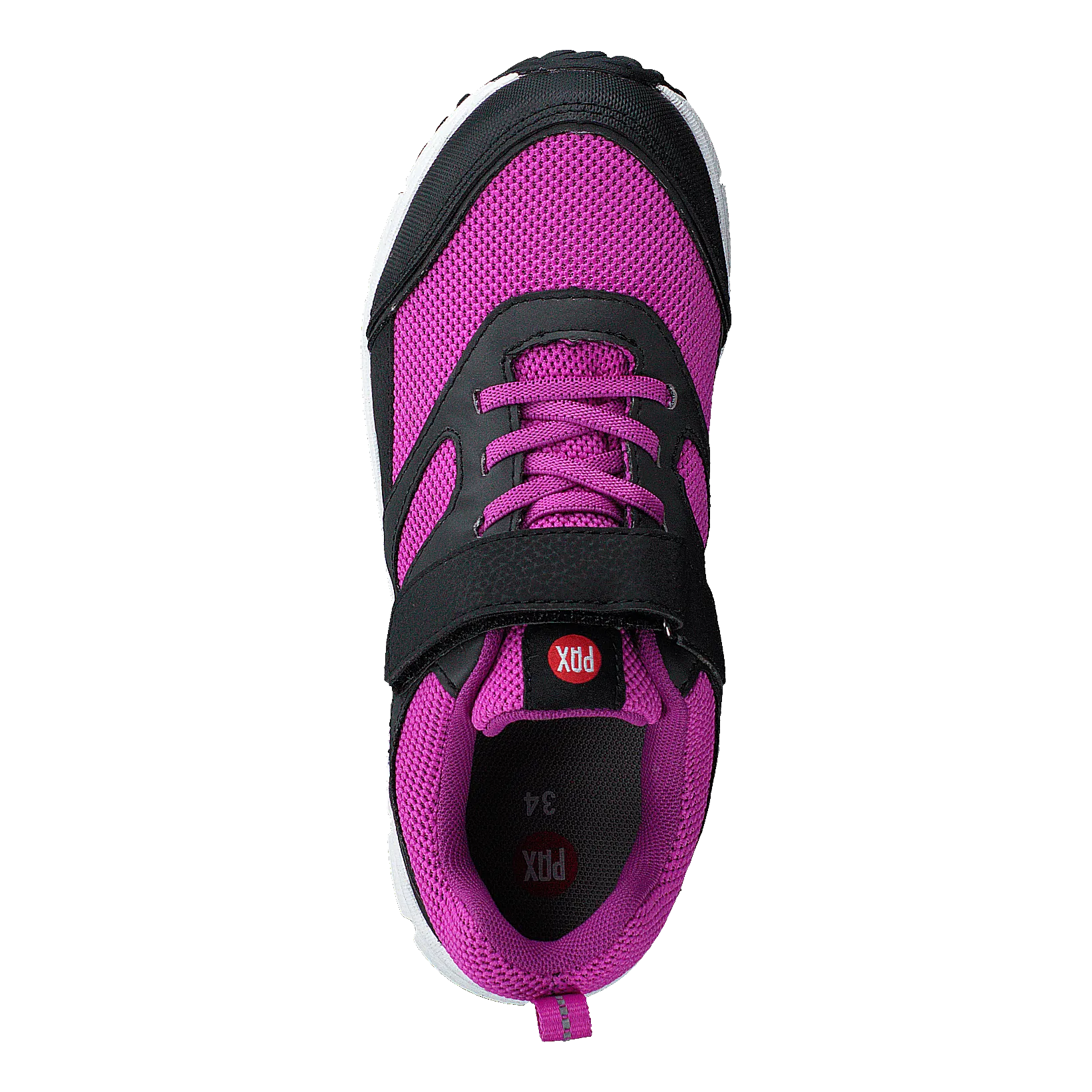 Rask Fuchsia